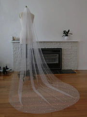 Voile de Mariée – Délicatesse Perlé La robe parfaite